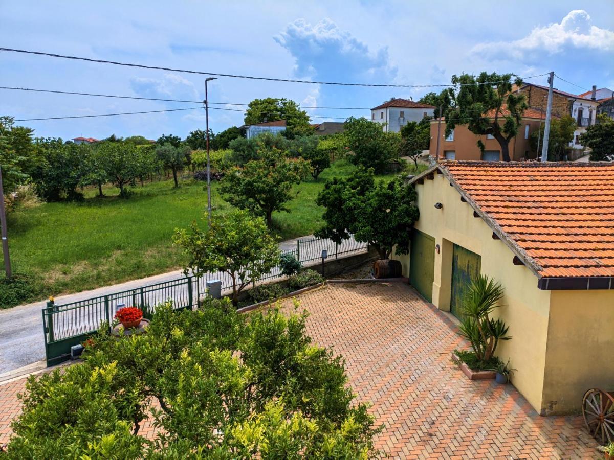La Casa Del Vino - B&B Tollo Kültér fotó