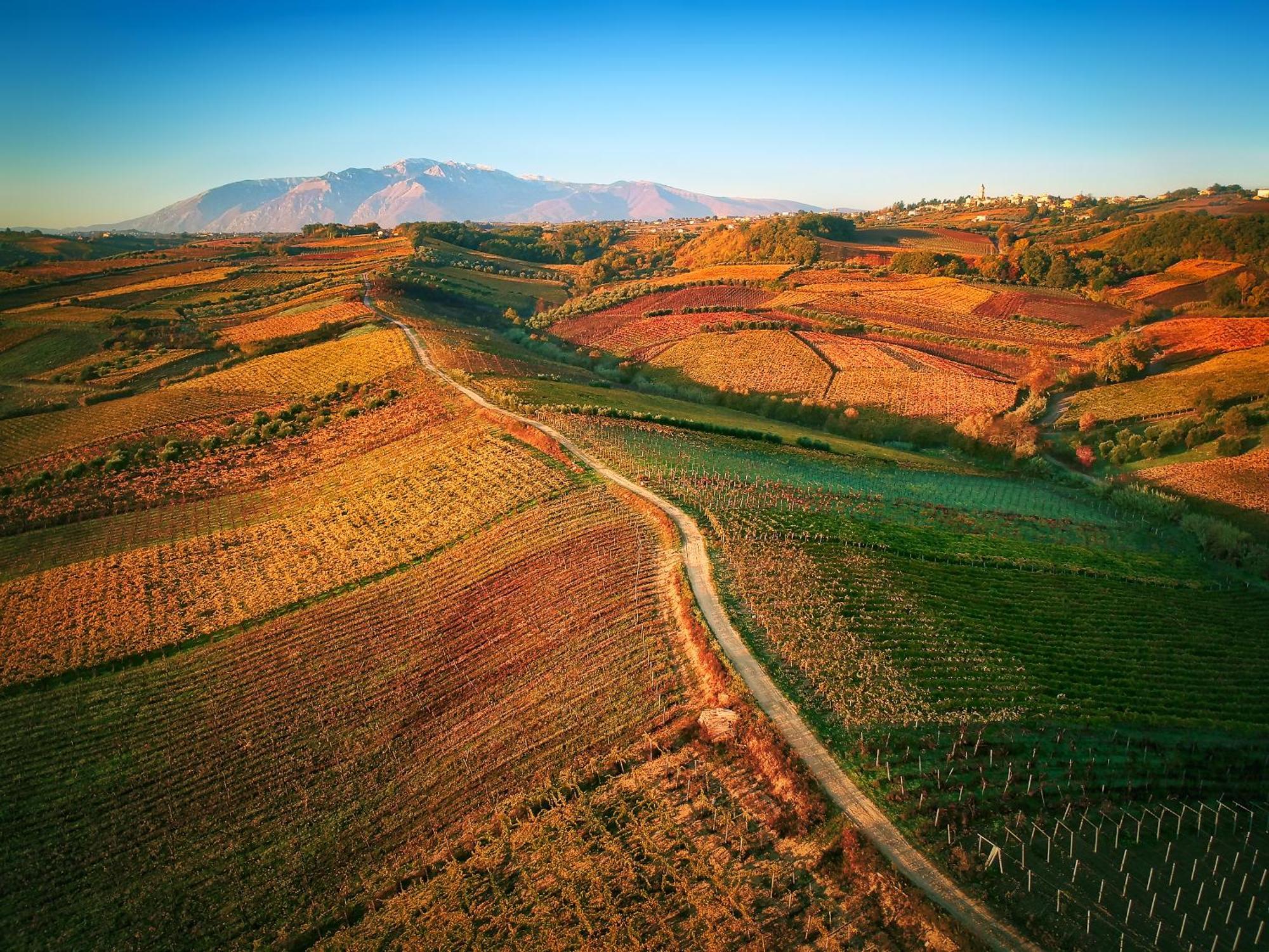 La Casa Del Vino - B&B Tollo Kültér fotó